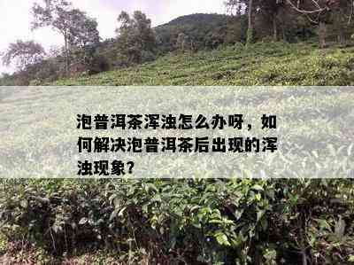 泡普洱茶浑浊怎么办呀，如何解决泡普洱茶后出现的浑浊现象？