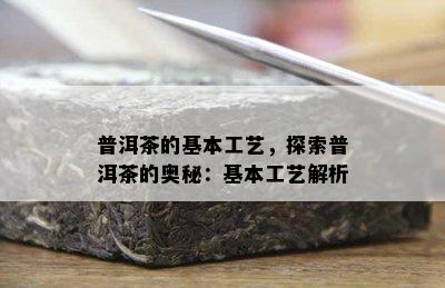 普洱茶的基本工艺，探索普洱茶的奥秘：基本工艺解析