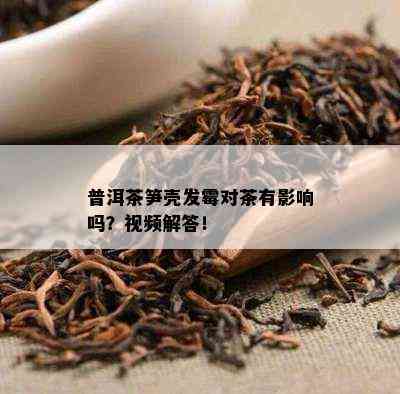 普洱茶笋壳发霉对茶有影响吗？视频解答！