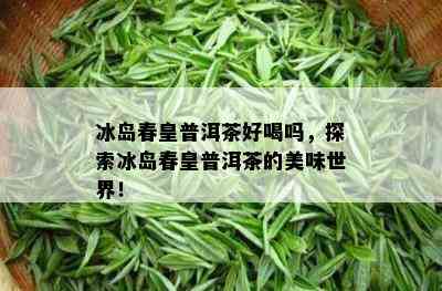 冰岛春皇普洱茶好喝吗，探索冰岛春皇普洱茶的美味世界！