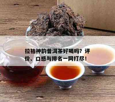 拉祜神韵普洱茶好喝吗？评价、口感与排名一网打尽！