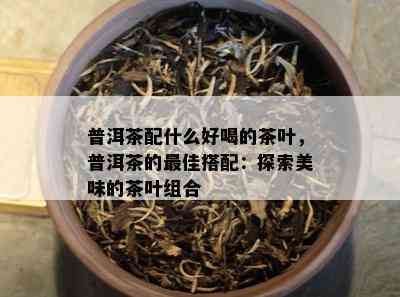 普洱茶配什么好喝的茶叶，普洱茶的更佳搭配：探索美味的茶叶组合