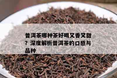 普洱茶哪种茶好喝又香又甜？深度解析普洱茶的口感与品种