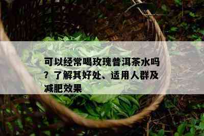 可以经常喝玫瑰普洱茶水吗？了解其好处、适用人群及减肥效果