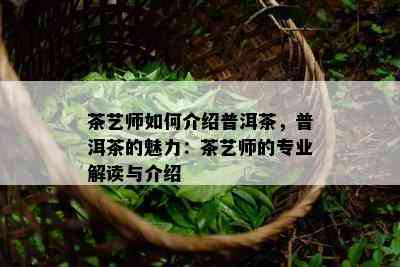 茶艺师如何介绍普洱茶，普洱茶的魅力：茶艺师的专业解读与介绍