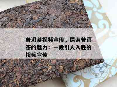 普洱茶视频宣传，探索普洱茶的魅力：一段引人入胜的视频宣传