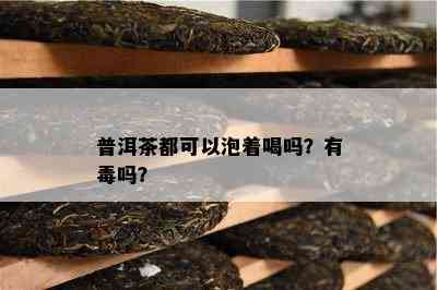 普洱茶都可以泡着喝吗？有吗？