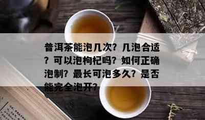 普洱茶能泡几次？几泡合适？可以泡枸杞吗？如何正确泡制？最长可泡多久？是否能完全泡开？