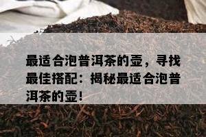 最适合泡普洱茶的壶，寻找更佳搭配：揭秘最适合泡普洱茶的壶！