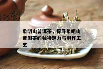 象明山普洱茶，探寻象明山普洱茶的独特魅力与制作工艺