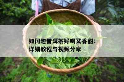 如何泡普洱茶好喝又香甜：详细教程与视频分享