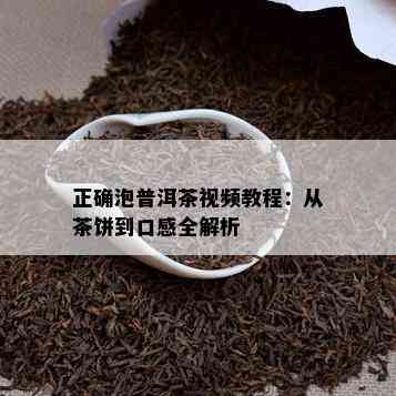 正确泡普洱茶视频教程：从茶饼到口感全解析