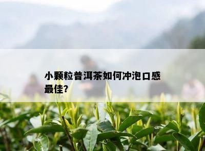 小颗粒普洱茶如何冲泡口感更佳？