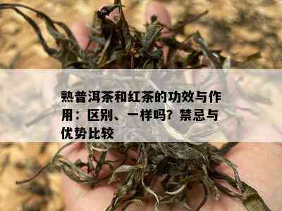 熟普洱茶和红茶的功效与作用：区别、一样吗？禁忌与优势比较