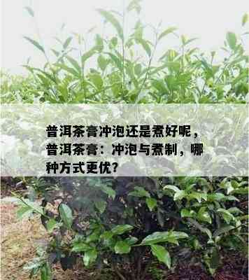 普洱茶膏冲泡还是煮好呢，普洱茶膏：冲泡与煮制，哪种方式更优？