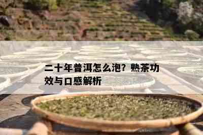 二十年普洱怎么泡？熟茶功效与口感解析