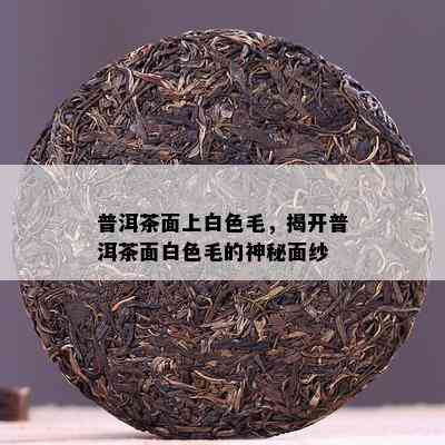 普洱茶面上白色毛，揭开普洱茶面白色毛的神秘面纱