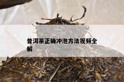 普洱茶正确冲泡方法视频全解