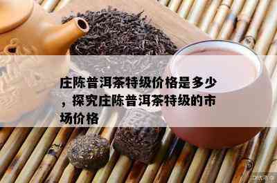 庄陈普洱茶特级价格是多少，探究庄陈普洱茶特级的市场价格