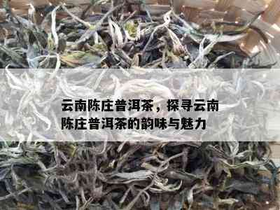 云南陈庄普洱茶，探寻云南陈庄普洱茶的韵味与魅力