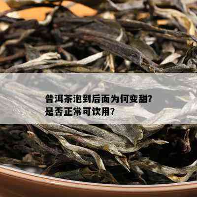 普洱茶泡到后面为何变甜？是否正常可饮用？