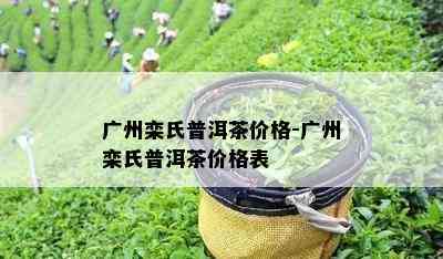 广州栾氏普洱茶价格-广州栾氏普洱茶价格表