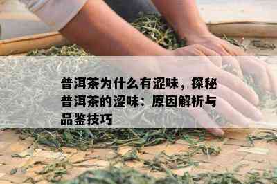 普洱茶为什么有涩味，探秘普洱茶的涩味：原因解析与品鉴技巧