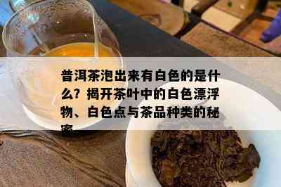 普洱茶泡出来有白色的是什么？揭开茶叶中的白色漂浮物、白色点与茶品种类的秘密