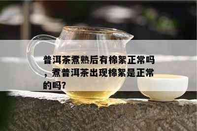 普洱茶煮熟后有棉絮正常吗，煮普洱茶出现棉絮是正常的吗？