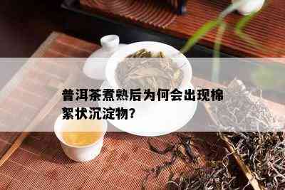 普洱茶煮熟后为何会出现棉絮状沉淀物？