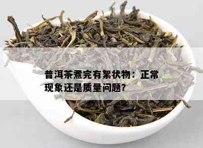 普洱茶煮完有絮状物：正常现象还是质量问题？