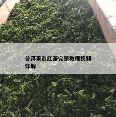 普洱茶泡红茶完整教程视频详解