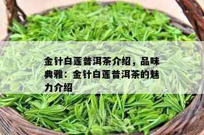 金针白莲普洱茶介绍，品味典雅：金针白莲普洱茶的魅力介绍