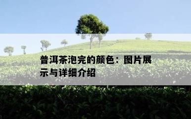 普洱茶泡完的颜色：图片展示与详细介绍