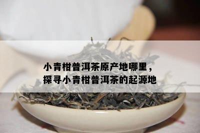 小青柑普洱茶原产地哪里，探寻小青柑普洱茶的起源地