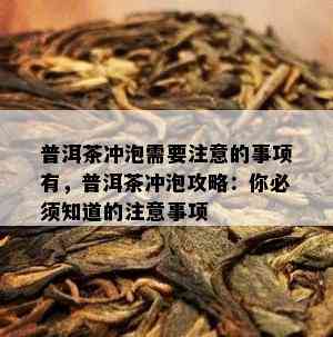 普洱茶冲泡需要注意的事项有，普洱茶冲泡攻略：你必须知道的注意事项