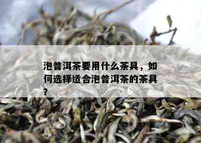 泡普洱茶要用什么茶具，如何选择适合泡普洱茶的茶具？