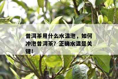 普洱茶用什么水温泡，如何冲泡普洱茶？正确水温是关键！