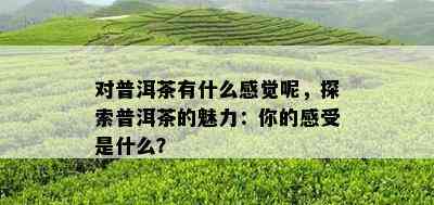 对普洱茶有什么感觉呢，探索普洱茶的魅力：你的感受是什么？