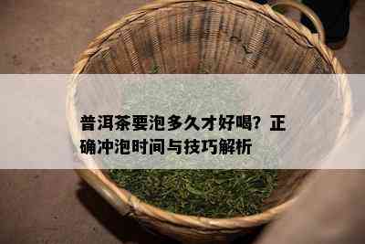 普洱茶要泡多久才好喝？正确冲泡时间与技巧解析