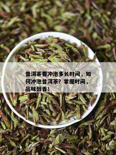 普洱茶要冲泡多长时间，如何冲泡普洱茶？掌握时间，品味醇香！