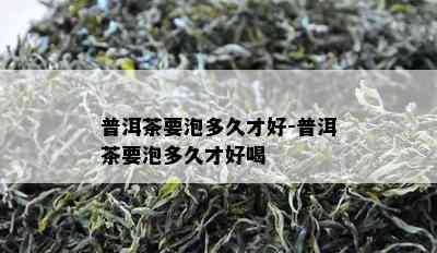 普洱茶要泡多久才好-普洱茶要泡多久才好喝