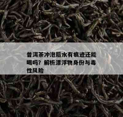 普洱茶冲泡后水有痕迹还能喝吗？解析漂浮物身份与性风险