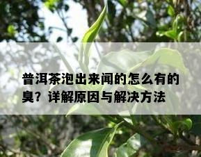 普洱茶泡出来闻的怎么有的臭？详解原因与解决方法