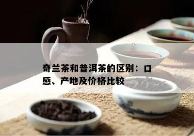 奇兰茶和普洱茶的区别：口感、产地及价格比较