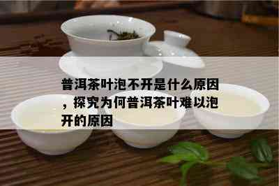 普洱茶叶泡不开是什么原因，探究为何普洱茶叶难以泡开的原因