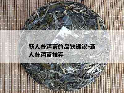 新人普洱茶的品饮建议-新人普洱茶推荐