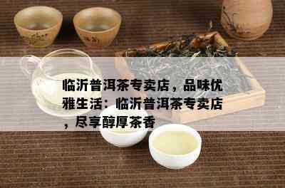 临沂普洱茶专卖店，品味优雅生活：临沂普洱茶专卖店，尽享醇厚茶香