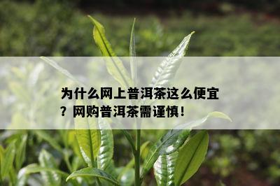 为什么网上普洱茶这么便宜？网购普洱茶需谨慎！