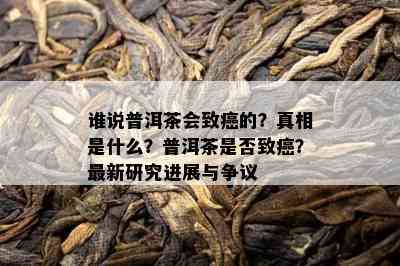 谁说普洱茶会致癌的？真相是什么？普洱茶是否致癌？最新研究进展与争议